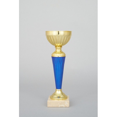 Zlatomodrý sportovní pohár 22 28 cm 22 cm
