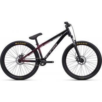 CTM Dirtking 2021