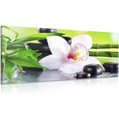 Obraz orchidej s japonskou tématikou - 80x40