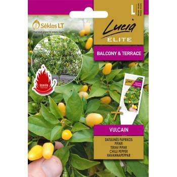 Image 1 of Seklos Пипер дърво Вулкан (много лют) Vulcain