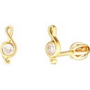 JVD náušnice SVLE1822XH2GOSR