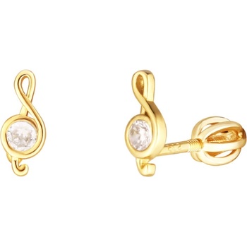 JVD náušnice SVLE1822XH2GOSR