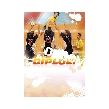 Diplom 6636
