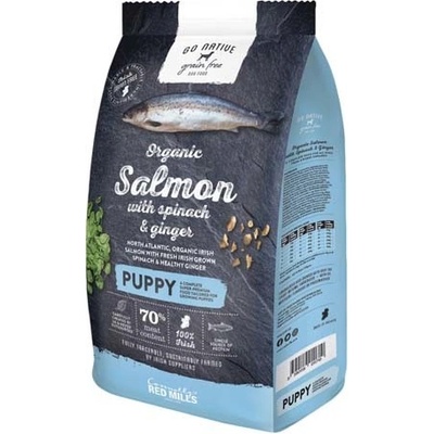 GO NATIVE Puppy Salmon with Spinach and Ginger 4 kg