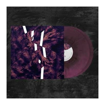Plebeian Grandstand: Rien Ne Suffit CLR LP 2