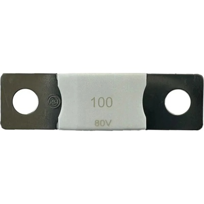Victron Energy B. V. MEGA-pojistka 100A/80V Victron Energy
