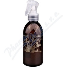 DebriEcaSan Hyal plus 250 ml