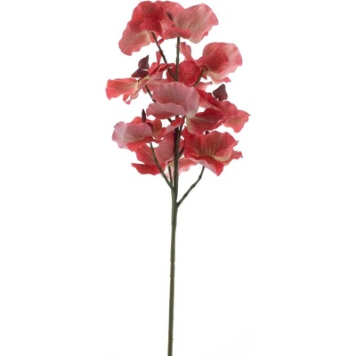 Člunatec (Cymbidium) červený V76 cm