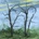 Daffo - WHERE THE EARTH BENDS CD