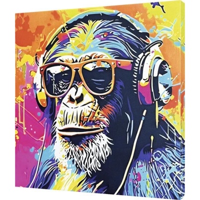 Obraz na plátne Cool Monkey 50 x 50 cm