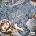 Zara Larsson - So Good (CD) (0199584401928)