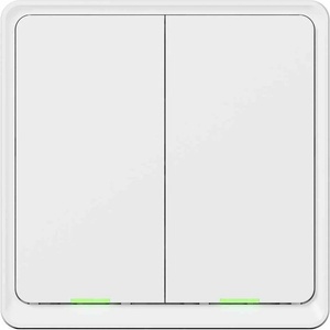 TESLA Smart Zigbee TSL-SWI-ZIGBEE2
