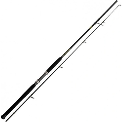 Black Cat Solid Spin 2,4 m 40-160 g 2 díly