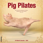 Willow Creek Press Calendars Pig Pilates 2026 12 X 12 Wall Calendar | Willow Creek Press