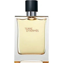 Hermès Terre D'Hermès toaletná voda pánska 100 ml