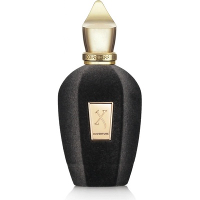 Xerjoff Ouverture parfémovaná voda unisex 100 ml tester
