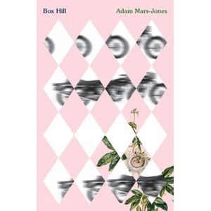 Box Hill - A Story of Low Self-Esteem | Adam Mars-Jones (ISBN: 9780811230056)