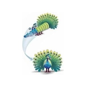 Jokomisiada 3D puzzle cardboard model colorful PEACOCK do it yourself DIY 18ele ZA5718