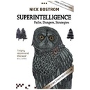 Superintelligence
