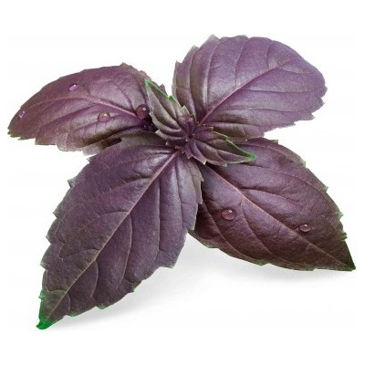 Veritable Вложка за семена Lingot необичайни билки лилав босилек (lingot-bazylia-purpurowa)