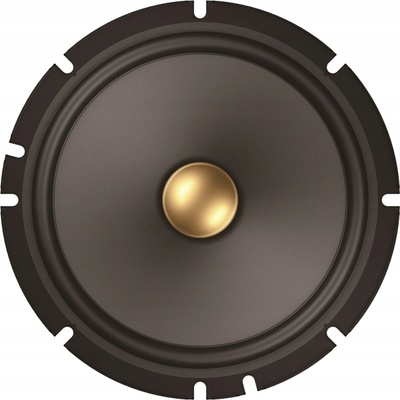 Pioneer TS-A1601C – Zbozi.Blesk.cz