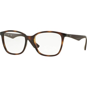 Ray-Ban RX7066 5577