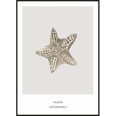 Jen tak z lásky Plakát Starfish Rozměr plakátu: 30 x 40 cm