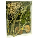 Lucky Reptile Deco Set Mantis