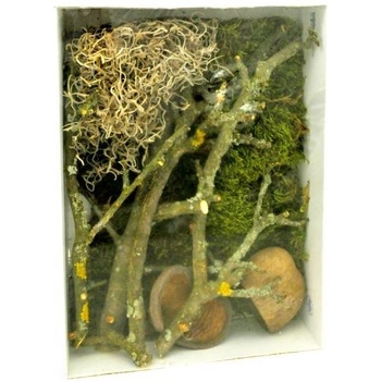 Lucky Reptile Deco Set Mantis