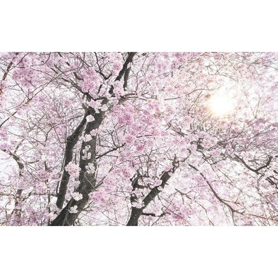 SH083-VD4 Fototapeta vliesová Bloom 4-dílná rozměry 400x250 cm