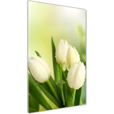 Vertikálny foto obraz sklo tvrdené Biele tulipány 50x100 cm