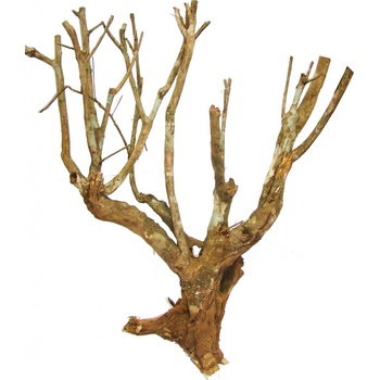 Lucky Reptile Savannah Bush 40 cm