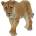 Papo Фигурка Papo Wild Animal Kingdom - Лъвица (50028)