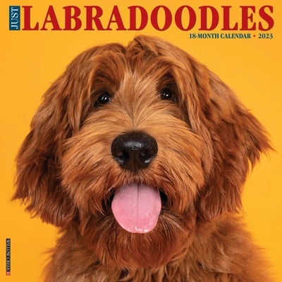 Just Labradoodles 2023 Wall Calendar" - "" ("Willow Creek Press")(Calendar) (9781549226595)