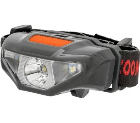 Carp Zoom Small