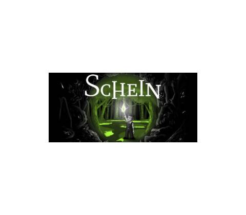 Schein