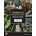 Handbook of Exotic Pet Medicine