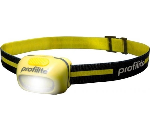 Profilite CHIP