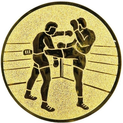0492 Emblém kickbox