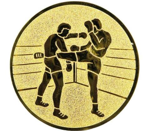 0492 Emblém kickbox