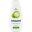 Schauma Fresh Matcha šampon 400 ml