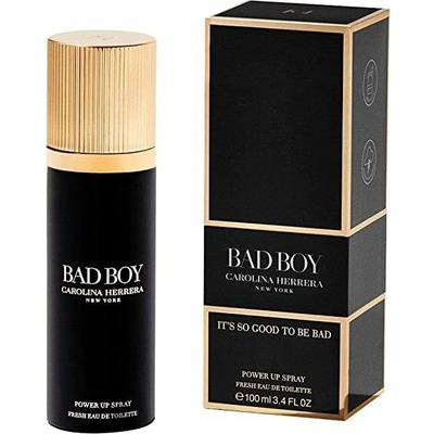 Carolina Herrera Bad Boy toaletná voda ve spreji pánska 100 ml
