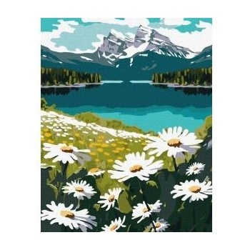Ideyka Painting by numbers - Flowering daisies 40x50cm