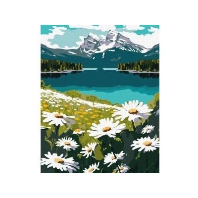 Ideyka Painting by numbers - Flowering daisies 40x50cm