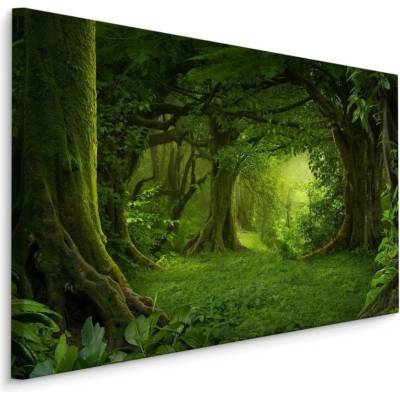 Plátno Tajemná Mýtina Varianta: 70x50