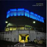 Richard Hawley - In This City They Call You Love (CD) (4099964028768)