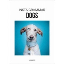 Insta Grammar Dogs