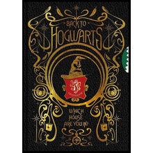 Harry Potter Spinner blok