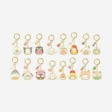 Prívesok na kľúče Import Stray Kids Skzoo X Sanrio Metal Keyring DWAEKKI