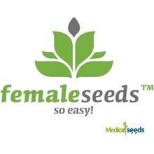 Female Seeds CBD Terra Italia semena neobsahují THC 4 ks